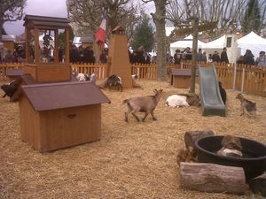 ferme2