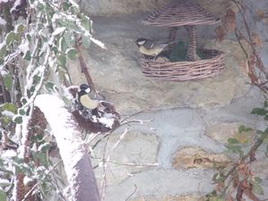 2010_02032010hiver0009.JPG