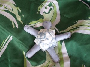 2010 02032010hiver0023