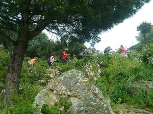 250420111647-copie-1.jpg