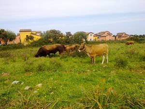 260420111655.jpg