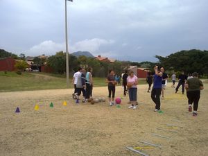 290420111803.jpg