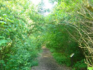 100_1414.jpg