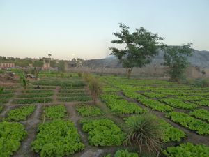 BAMAKO-2012-037.jpg