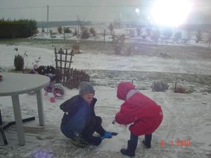 9 janvier 2010 002