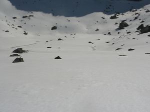 P1020332.JPG