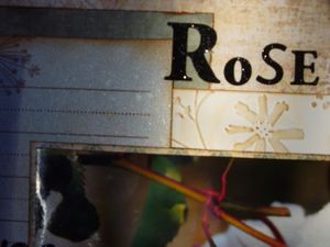 rose-de-noel-detail.jpg