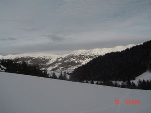 DSC00258.JPG