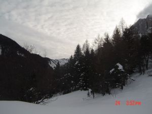 DSC00259.JPG