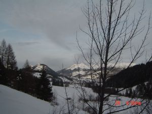 DSC00261.JPG