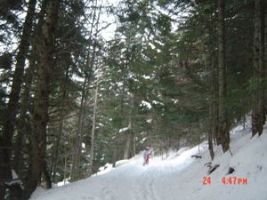 DSC00270.JPG