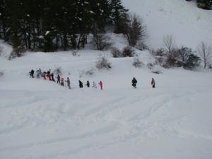 DSC03810.JPG