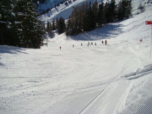 DSC03234.JPG