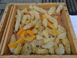 DSC07115.JPG