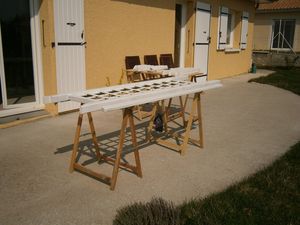 P3250180bis.jpg
