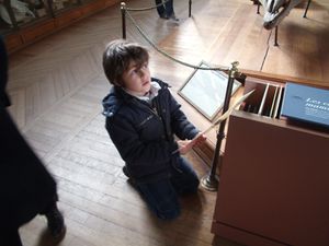 Muséum paléontologie (42)