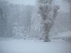 Il-a-neige-a-Ymare--6-.JPG