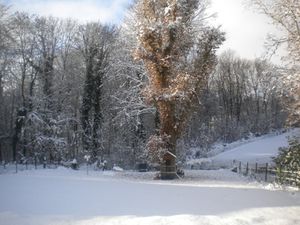 Il a neigé à Ymare (8)