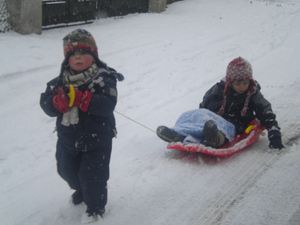 Sous la neige (29)