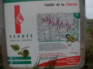 DSCN1402