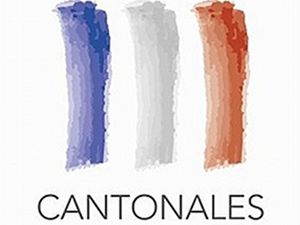 cantonales-Logo-officiel-Elections-2011