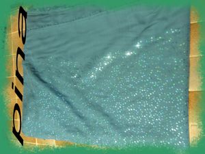 SDC13522+protection