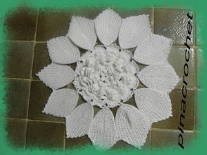 SDC13656-protection.jpg