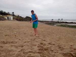 juillet 214 013