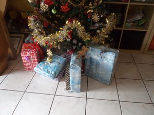 decembre 2012 051-copie-1