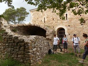 2013-06-09-Sérignan du Comtat -Vaucluse 022