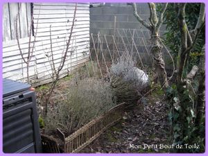 coin-potager-1_800x600.jpg