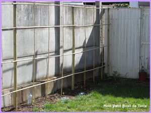 bordure-2.jpg