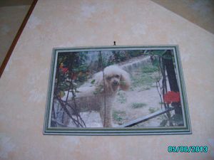 PICT2334