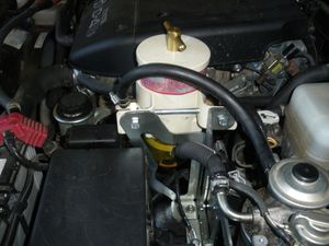 IMGP3175