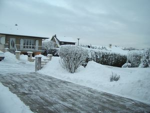 IMGP4002.JPG