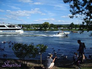 IMGP3893