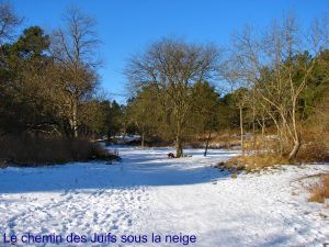 chemin.jpg