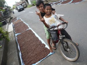 munduk & alentours