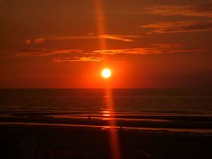 Coxyde