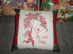 Coussin Salsuffit