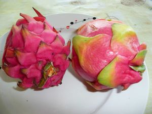 P1020076-copie-1.JPG