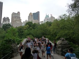 P1020768.JPG