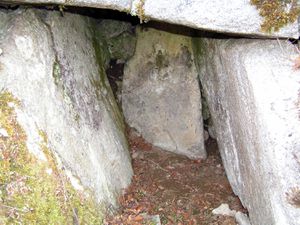 Dolmen de Génat en 2009 (5)