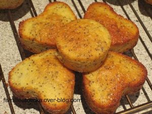 cake citron pavot