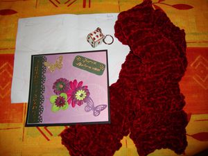 janvier-2011-004.JPG