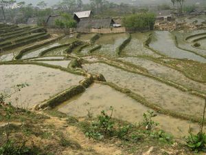 vietnam 0933