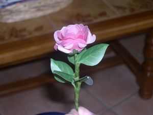 rose (4)
