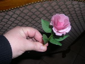rose