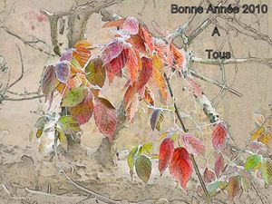Bonne année 2010-1