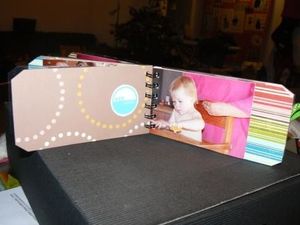 mini tagb (11)